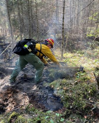Forest Service to resume prescribed burning of National Forest lands near the BWCA, across the nation