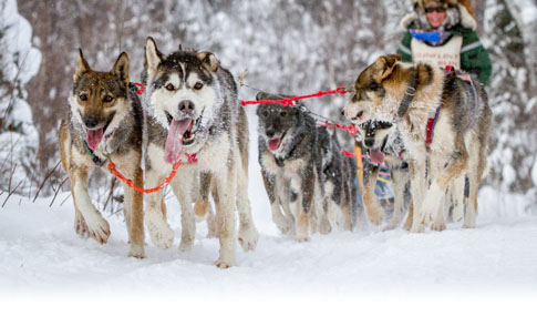 2025 Gunflint Mail Run postponed due to poor snow conditions