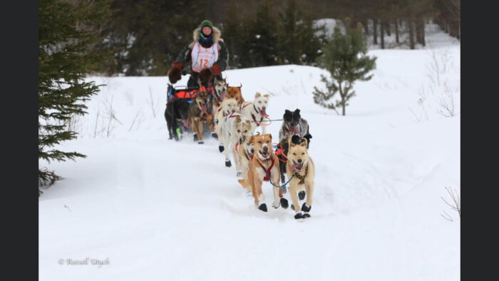 An end of season update from musher Mary Manning