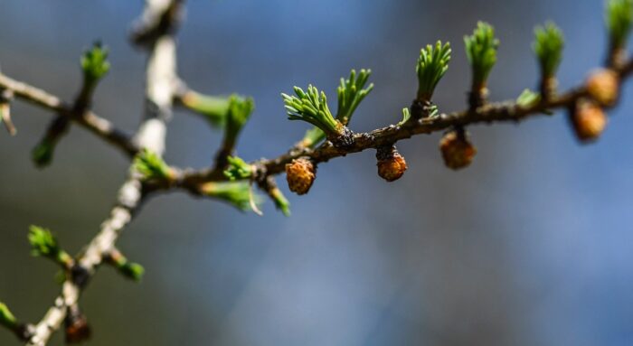 March observations with Larry Weber