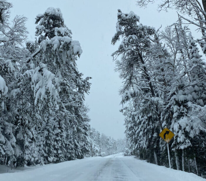 Multiple accidents reported on Highway 61 in Cook County as snow and rain pelt the area