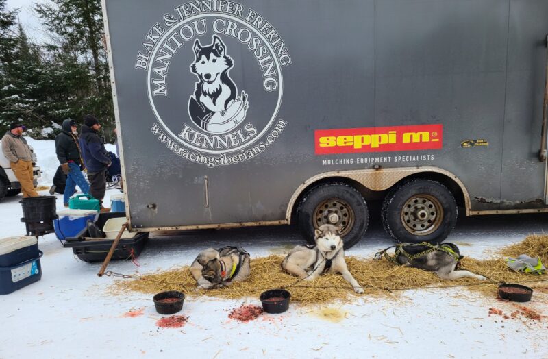 2023 John Beargrease Sled Dog Marathon kicks off on January 29 WTIP