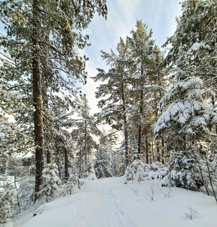 Gunflint Lake and Grand Marais beat historical records for December snowfall and precipitation