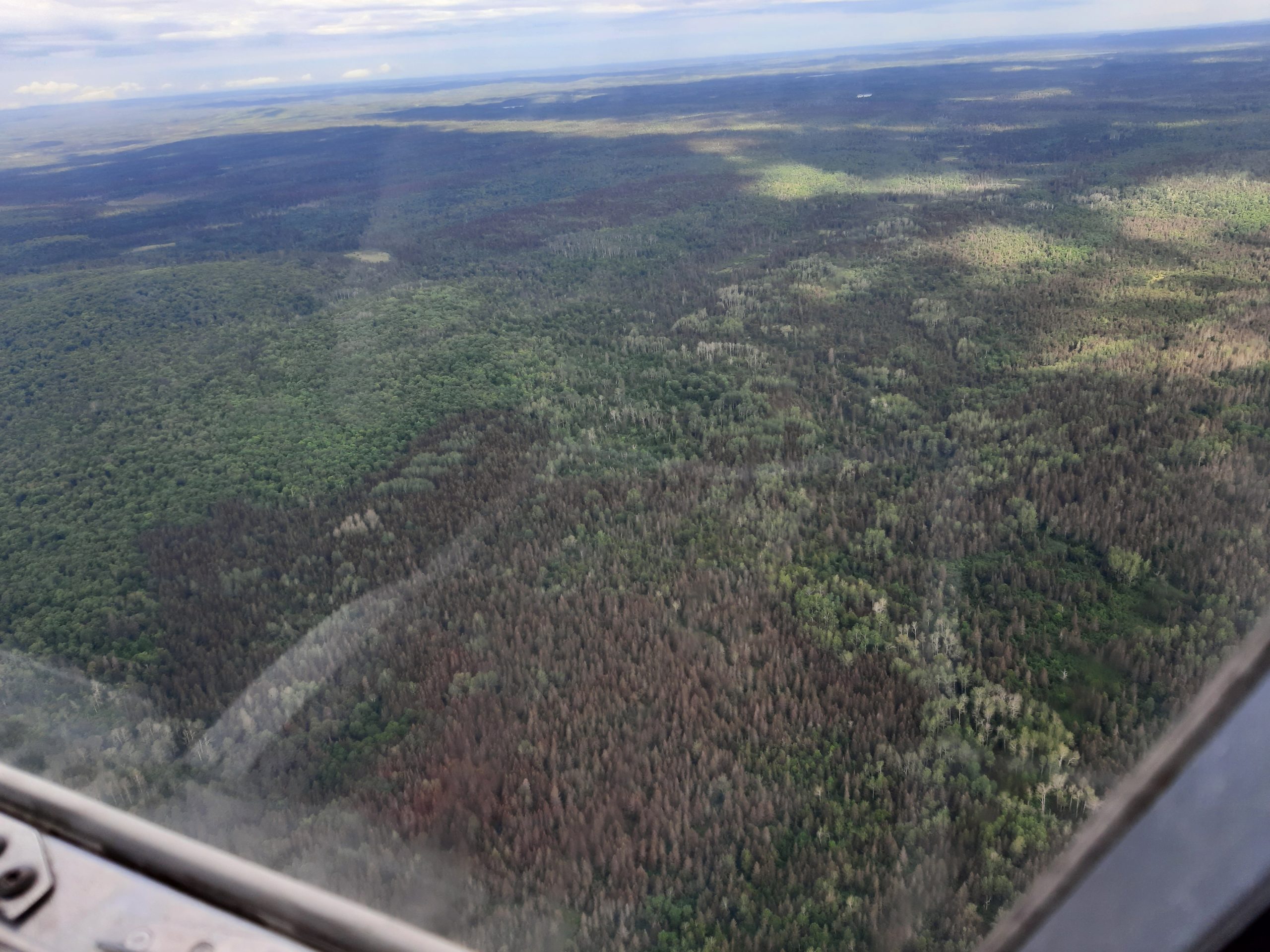 Lake Superior Project - Health of the Superior National Forest | WTIP