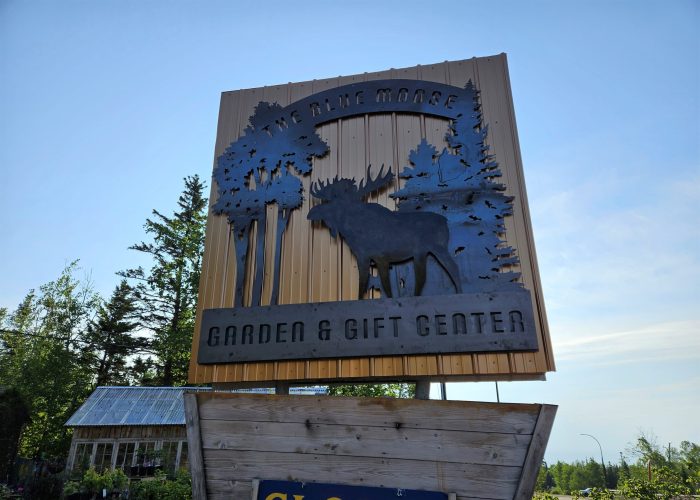 The Blue Moose closed for summer season, plans to reopen next year