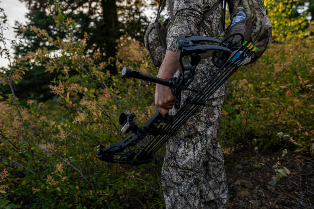 Crossbows here to stay in Minnesota as data points to growing use in deer season