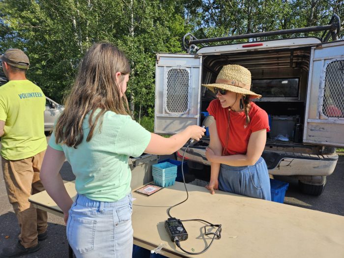 WTIP visits Grand Marais Farmer’s Market