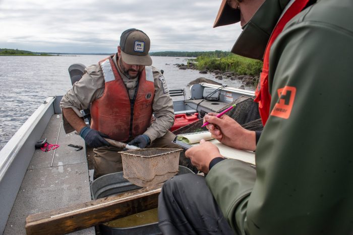 DNR seeks comments on Grand Marais and Finland area lake management plans