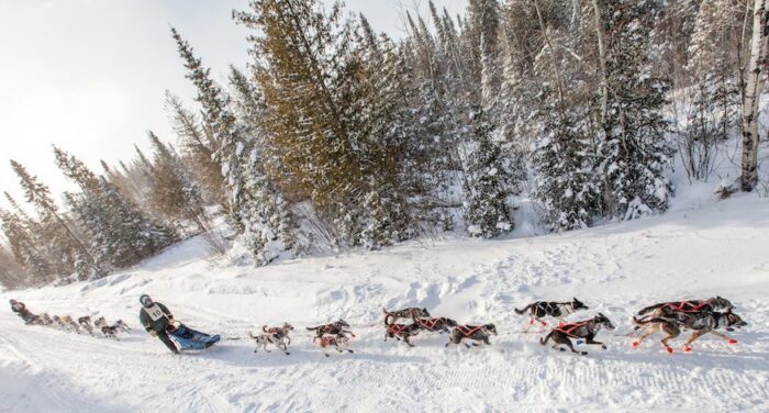 Gunflint Mail Run organizers excited for return of annual sled dog race