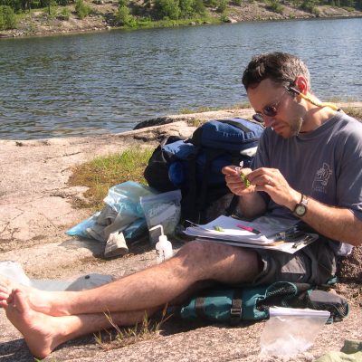 Brian Sturtevant in the Boundary Waters processing a spruce budworm larvae for later genetic sampling