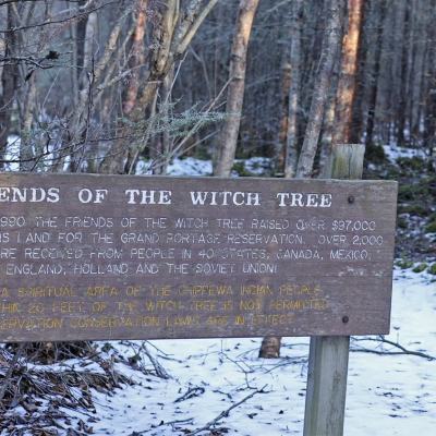 Friends of the Witch Tree sign