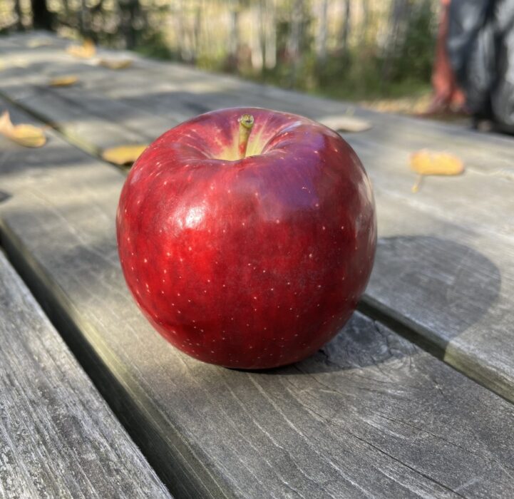 Johnny Appleseed Project and Great Tree Women Group to offer thousands of trees to area gardeners