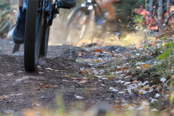 Youth Mountain Bike Team Cook County Minnesota Pincushion photo by M Baxley