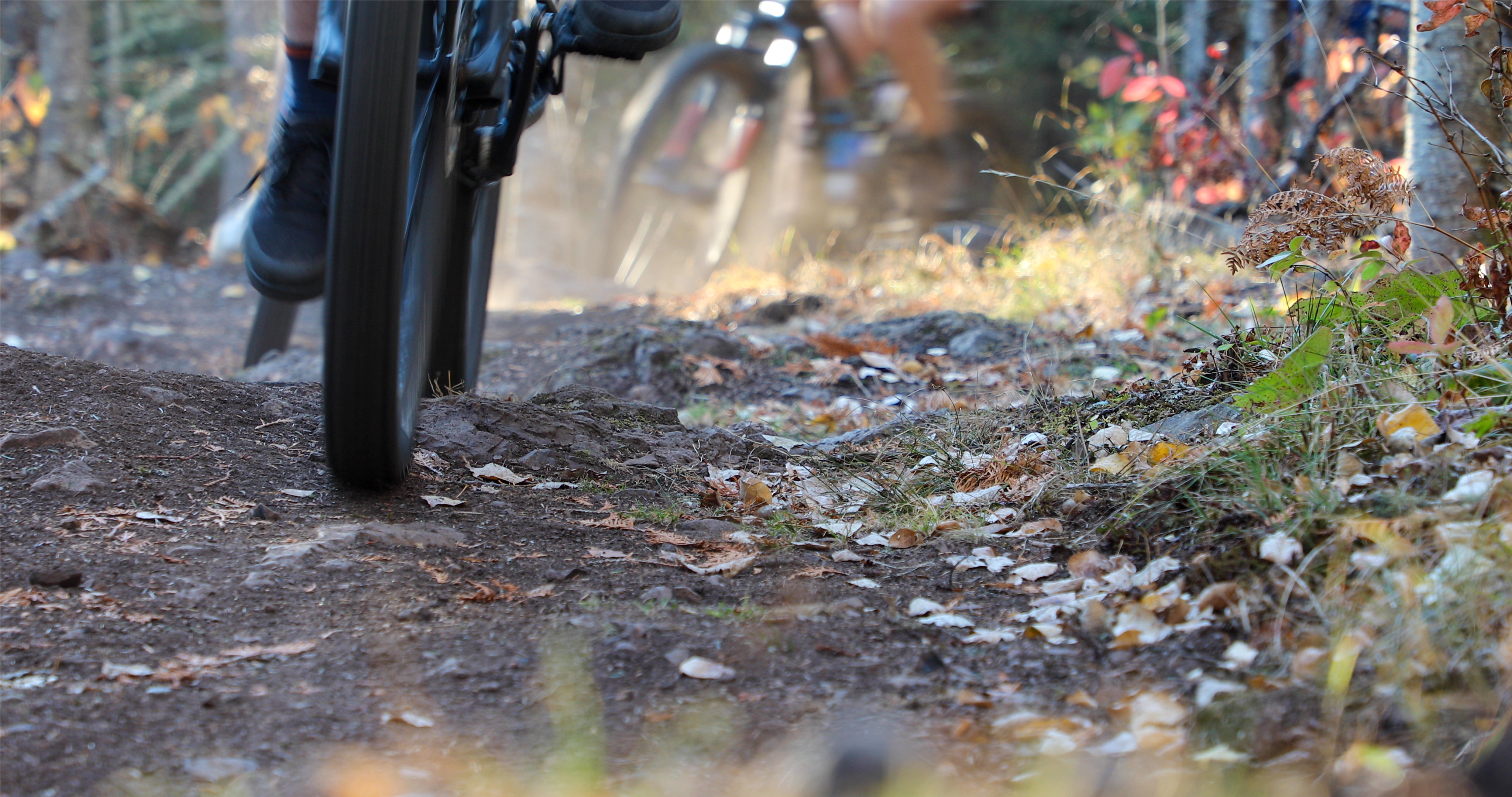 Cook County youth mountain bike team wrap up first season