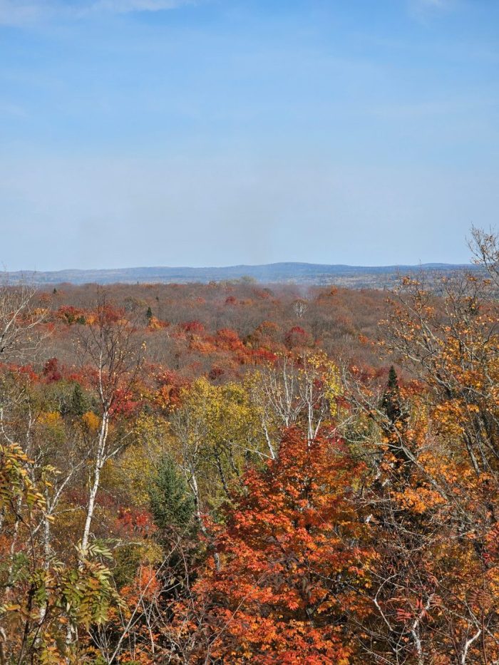 Bogus Lake Fire at 53 acres, ground crews working toward containment