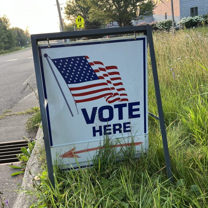 Cook County local election results for 2024