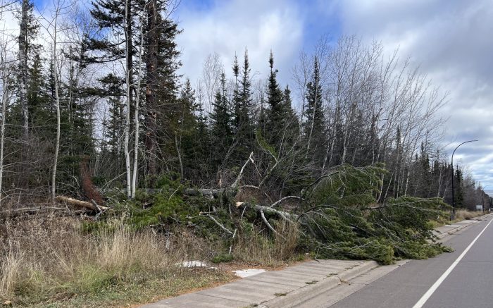 Emergency crews and highway department responding to downed trees, power outages due to high winds