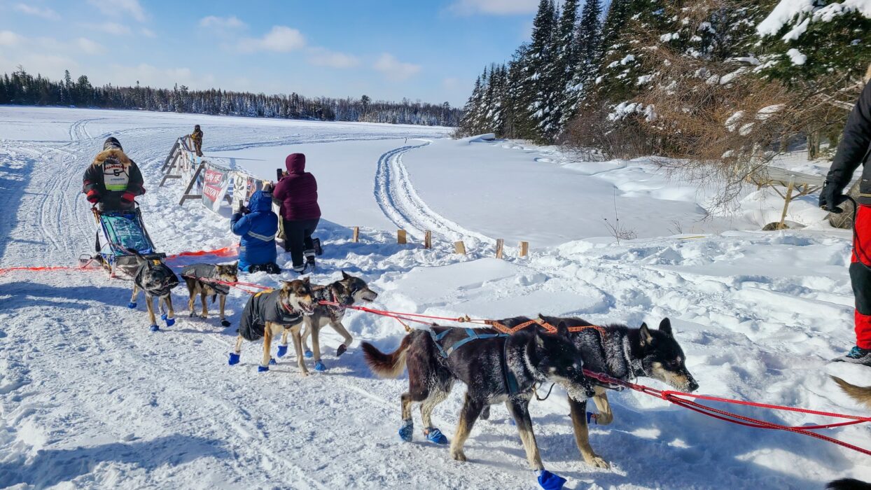 40th annual John Beargrease Sled Dog Marathon postponed, organizers trying to remain optimistic