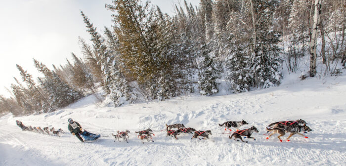 Mushers navigate a second winter with sled dog race delays