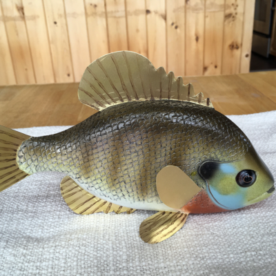 Bluegill