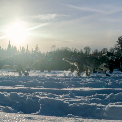 Dog Team kicking up snow