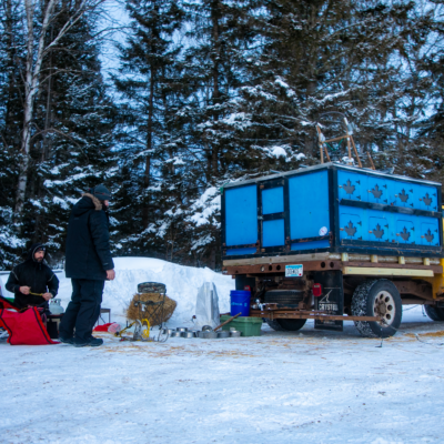 mushers getting ready