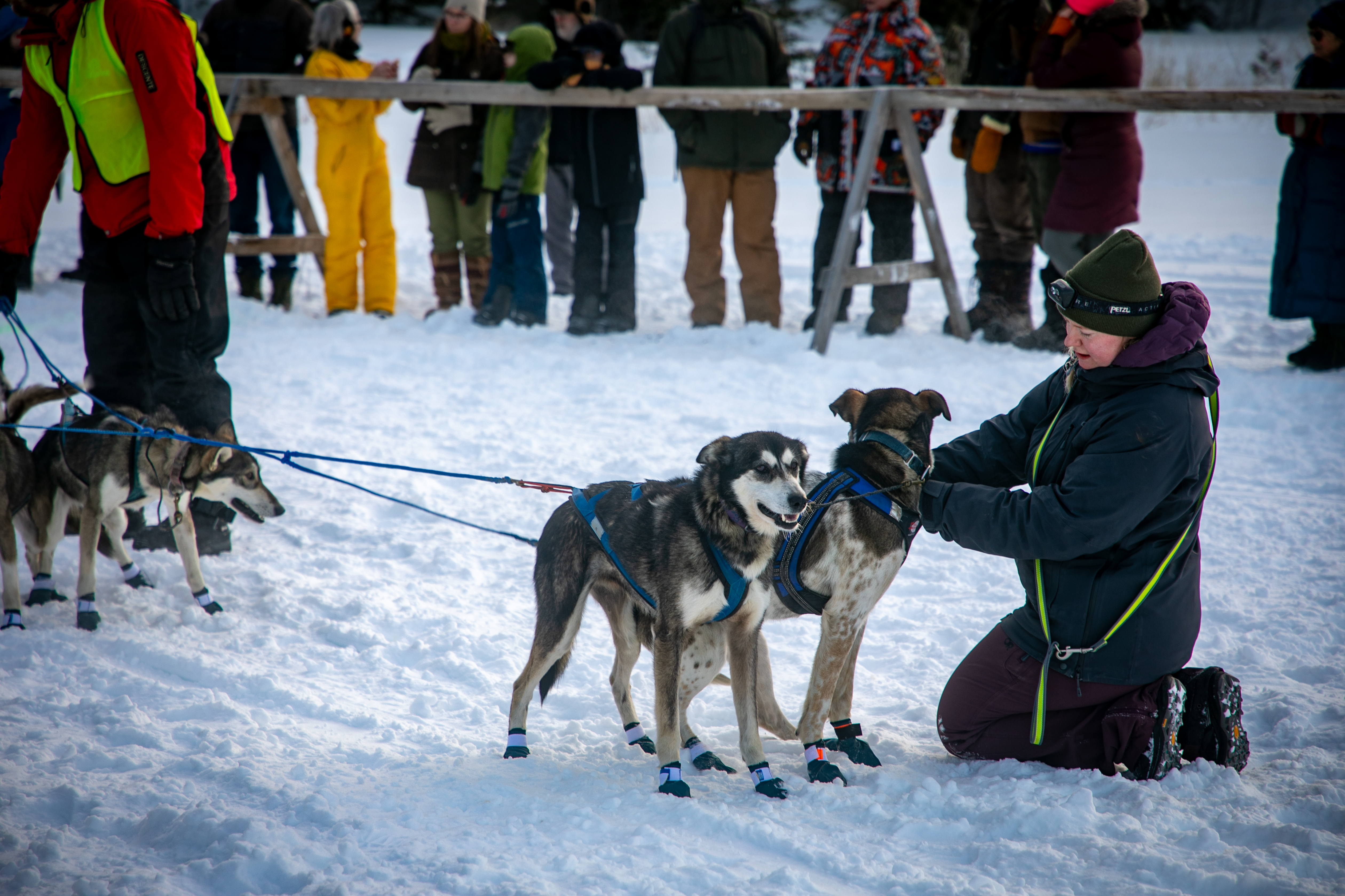 2025 Gunflint Mail Run in pictures