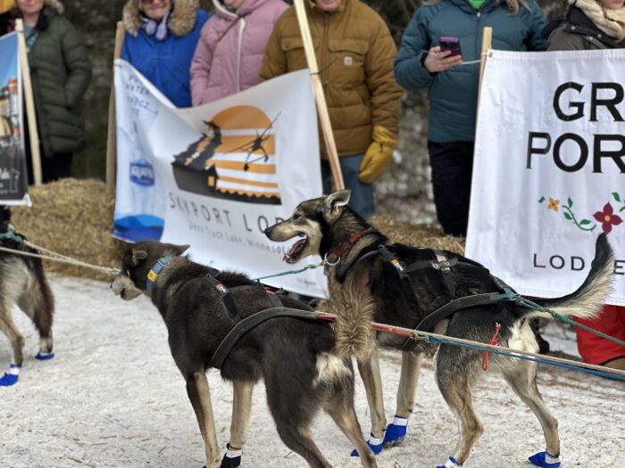 Photos: 2025 John Beargrease Sled Dog Marathon