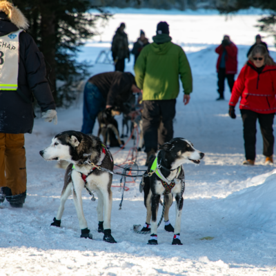 John Beargrease Sled Dog Marathon Trail Center Stop