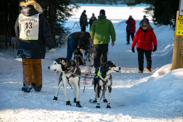 John Beargrease Sled Dog Marathon Trail Center Stop