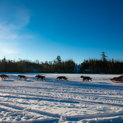 John Beargrease Sled Dog Marathon Trail Center Stop