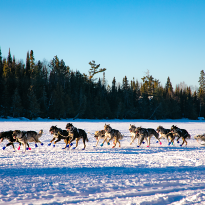 John Beargrease Sled Dog Marathon Trail Center Stop