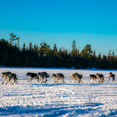 John Beargrease Sled Dog Marathon Trail Center Stop