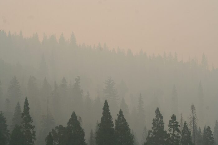 Smoke from Canadian fires prevalent across northern Minnesota, prompting air quality alerts