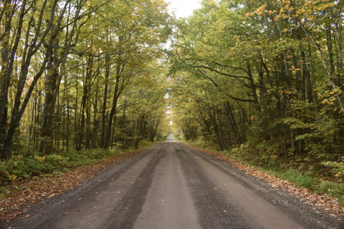 Fall colors in full swing across northern Minnesota and North Shore