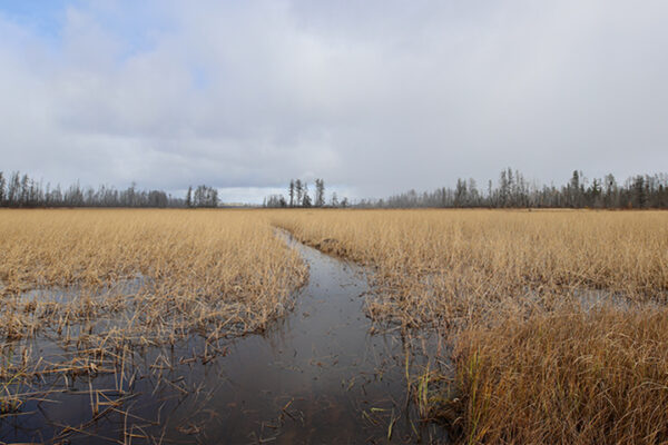 Nature Conservancy land