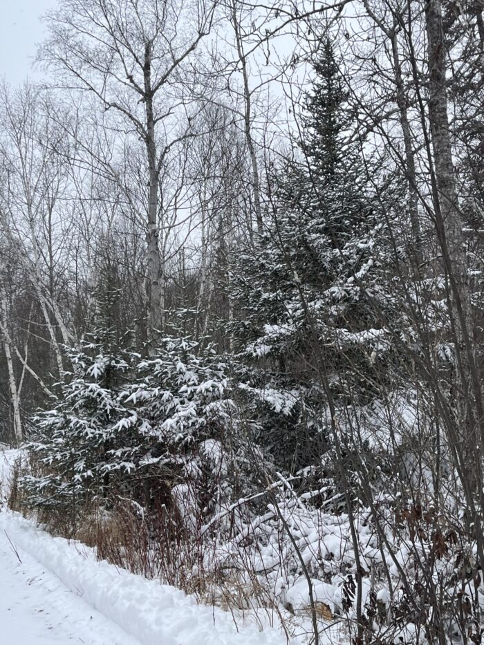 First winter storm of the season brings power outages across Cook County