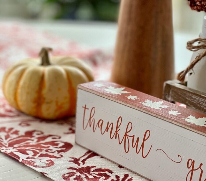 Cook County youth share what they’re thankful for during the holiday season