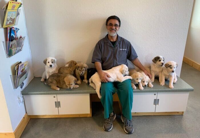 Local Business Spotlight: Cedar Grove Veterinary Clinic