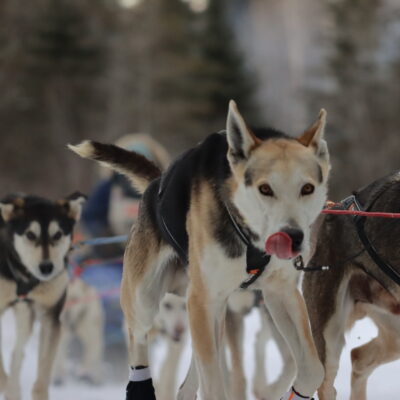 Photo by Chuck Olsen