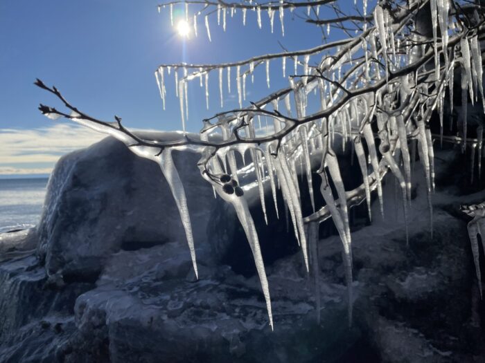 Extreme Cold Warning brings closures and advice on staying safe in a winter emergency