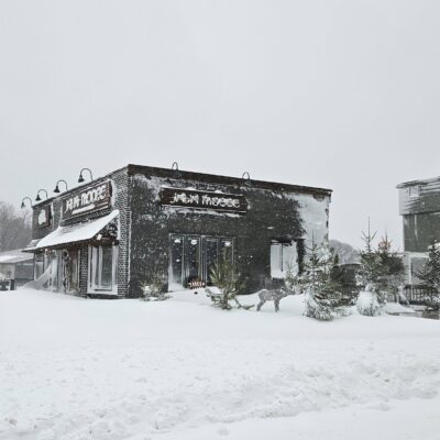 Blizzard conditions at Java Moose