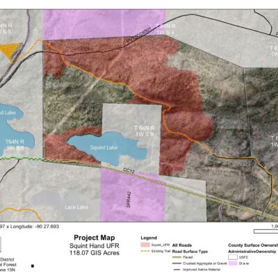 Squint Lake prescribed burn map