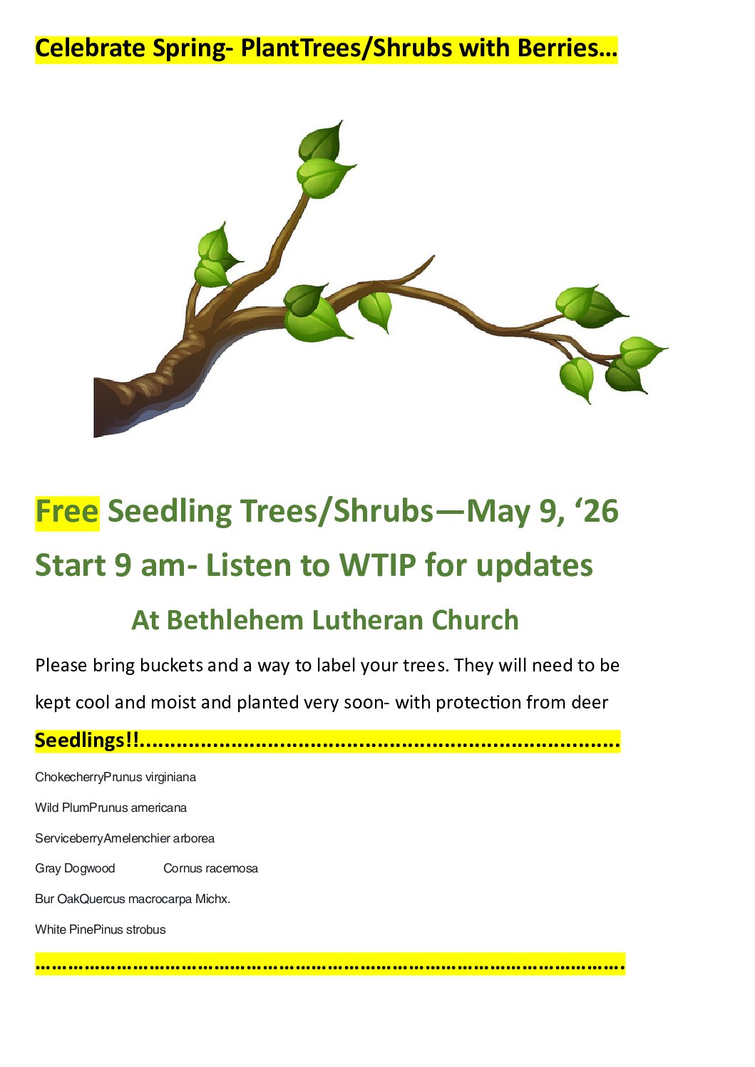 Seedling trees and shrubs giveaway