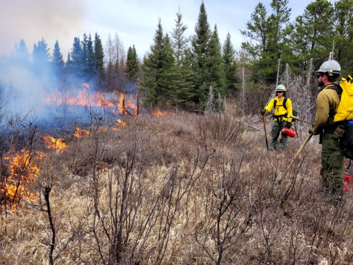 Forest Service plans prescribed burns in Superior National Forest