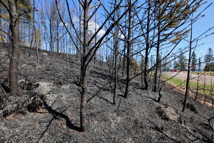 Gov. Walz mobilized MN National Guard to assist with wildfire response