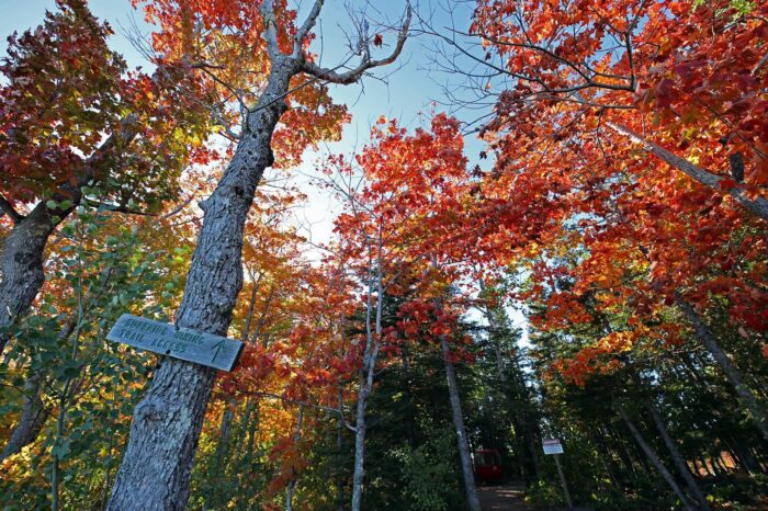 Fall colors starting to show across the North Shore