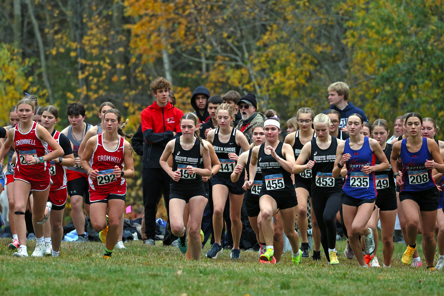 Vikings Weekly: Cook County football rolls past Bigfork, cross-country ...