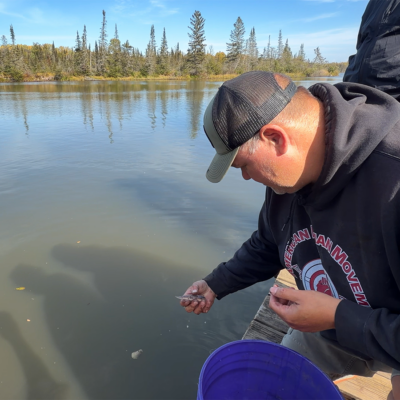 Tribal Chair Bobby Deschampes releasing sturgeon