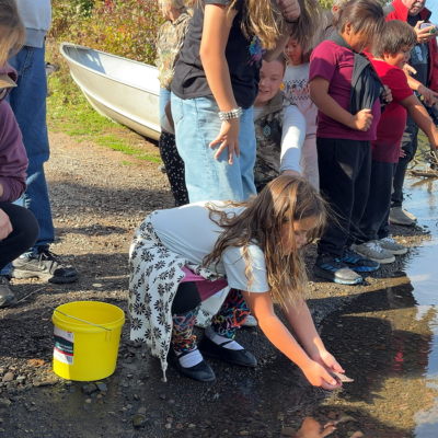 Girl releasing sturgeon